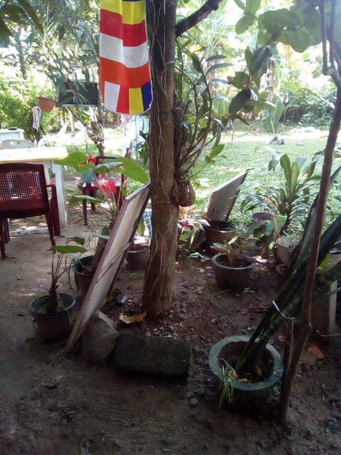 Thevindu Guest & Redmud Resturent Banduramulla 外观 照片